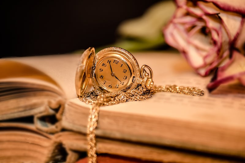 Time travel books